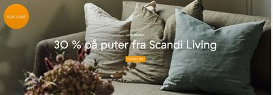 Tilbud fra Hjem og møbler i Koppang | 30% på puter fra Scandi Living de Nordic Nest | 11.9.2024 - 24.9.2024