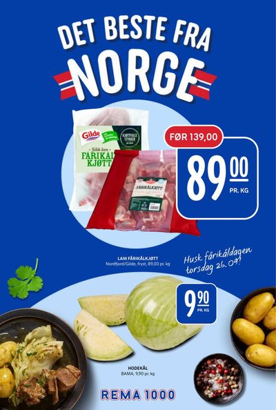 Tilbud fra Supermarkeder i Naustbukta | Spesialtilbud for deg de Rema 1000 | 15.9.2024 - 21.9.2024