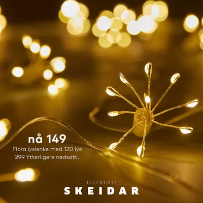 Skeidar-katalog | Attraktive spesialtilbud for alle | 15.11.2024 - 29.11.2024