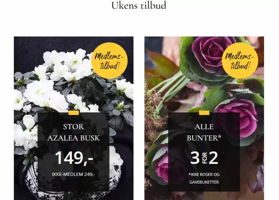 Floriss-katalog i Drammen | Ukens Tilbud | 18.11.2024 - 24.11.2024