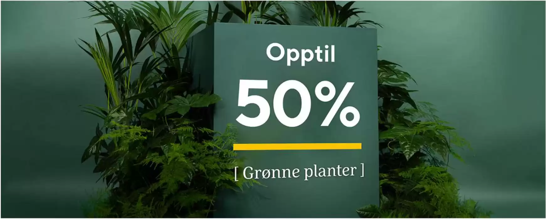 Mester Grønn-katalog | Opptil 50% | 20.1.2025 - 2.2.2025