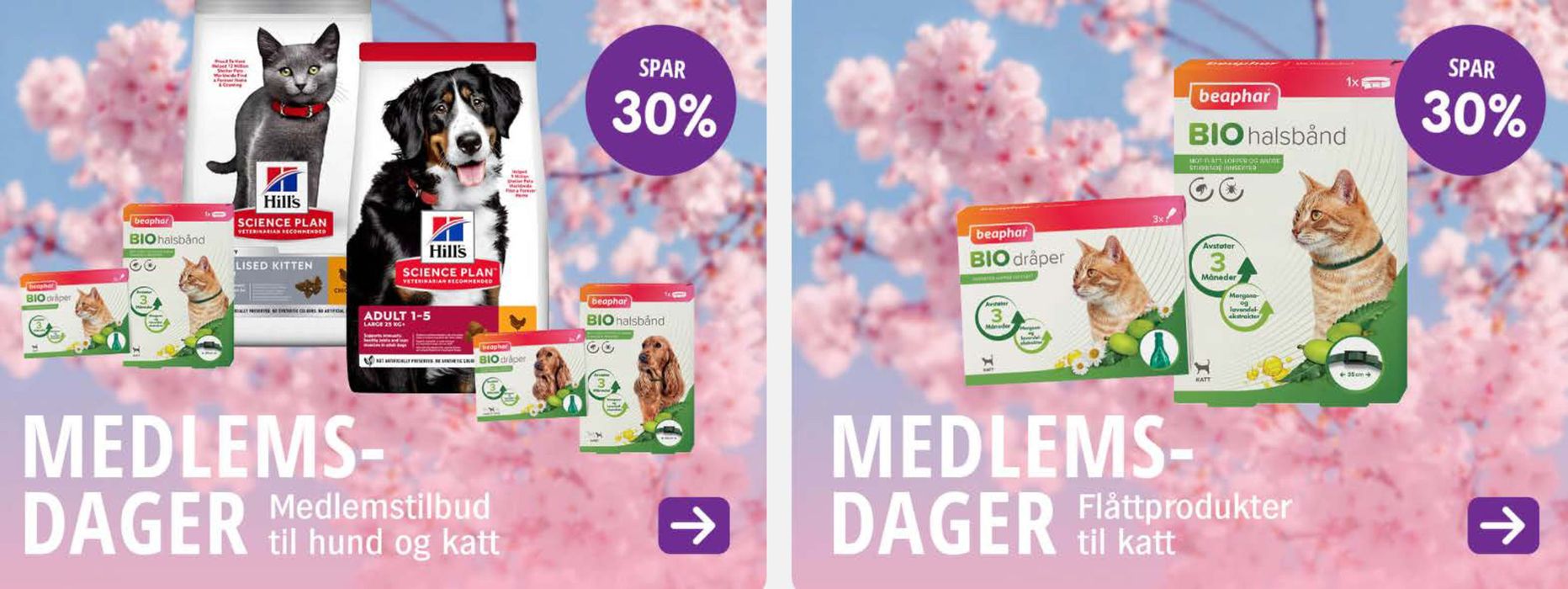 Buddy-katalog i Kongsberg | Spar 30% | 18.4.2024 - 23.4.2024