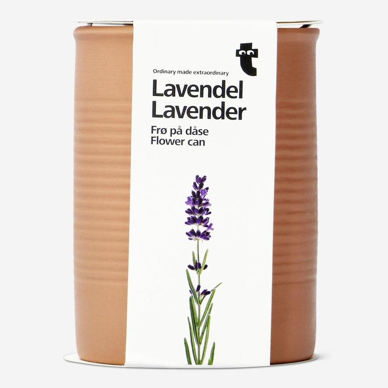 Tilbud: Lavender. Flower can kr 50 på Flying Tiger Copenhagen