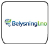 Logo Belysning1